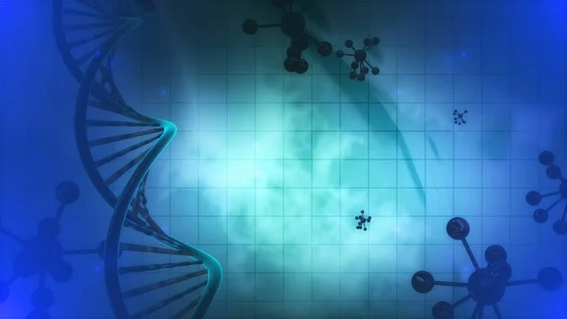 N,N-二甲基環(huán)己胺 DMCHA的環(huán)保安全性與低氣味替代方案研究