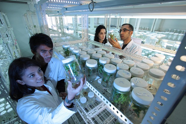 泡沫用延遲凝膠催化劑對發(fā)泡過程溫度控制和加工寬容度的影響